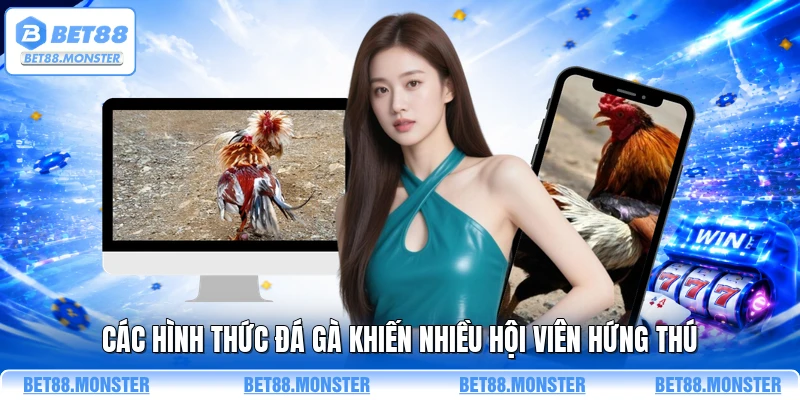 Các hình thức đá gà khiến nhiều hội viên hứng thú
